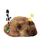 ピンカの日常①（個別スタンプ：7）