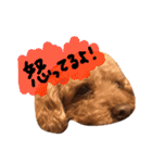 ピンカの日常①（個別スタンプ：15）