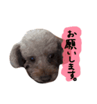 ピンカの日常①（個別スタンプ：17）