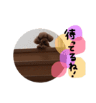 ピンカの日常①（個別スタンプ：18）