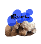 ピンカの日常①（個別スタンプ：19）
