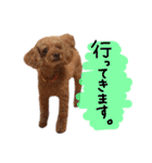 ピンカの日常①（個別スタンプ：23）
