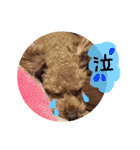 ピンカの日常①（個別スタンプ：24）