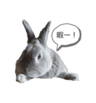 marumaruスタンプ（個別スタンプ：4）