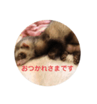 こもものきもち（個別スタンプ：1）