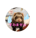 こもものきもち（個別スタンプ：2）