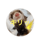 こもものきもち（個別スタンプ：4）