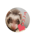 こもものきもち（個別スタンプ：6）