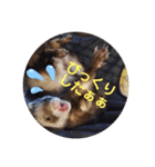 こもものきもち（個別スタンプ：7）