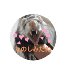 こもものきもち（個別スタンプ：8）