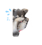 OREO✡︎TIROL（個別スタンプ：5）