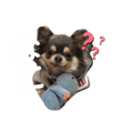 OREO✡︎TIROL（個別スタンプ：13）