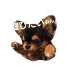 OREO✡︎TIROL（個別スタンプ：14）