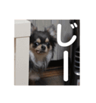 OREO✡︎TIROL（個別スタンプ：19）