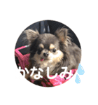 OREO✡︎TIROL（個別スタンプ：21）