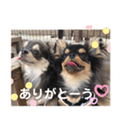 OREO✡︎TIROL（個別スタンプ：23）