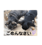 OREO✡︎TIROL（個別スタンプ：24）