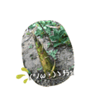 日常会話に役立つ（個別スタンプ：7）