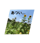 日常会話に役立つ（個別スタンプ：10）