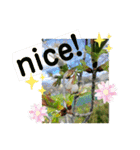 日常会話に役立つ（個別スタンプ：22）