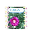 日常会話に役立つ（個別スタンプ：26）