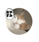 チャミくん（個別スタンプ：2）