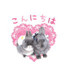 かわいいうさぎさんのご挨拶スタンプ（個別スタンプ：18）
