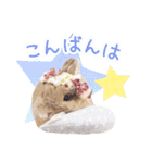 かわいいうさぎさんのご挨拶スタンプ（個別スタンプ：30）