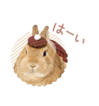 かわいいうさぎさんのご挨拶スタンプ（個別スタンプ：38）