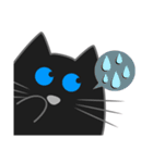黒猫・ドンドン -日常- (日本語)（個別スタンプ：20）