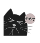 黒猫・ドンドン -日常- (日本語)（個別スタンプ：23）