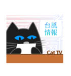 黒猫・ドンドン -日常- (日本語)（個別スタンプ：36）