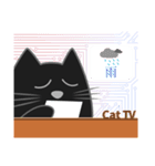 黒猫・ドンドン -日常- (日本語)（個別スタンプ：40）