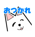 毎日使える White Dog No.1（個別スタンプ：9）