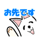 毎日使える White Dog No.1（個別スタンプ：13）