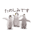 毎日使える★ペンギンさん（個別スタンプ：8）