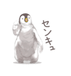 毎日使える★ペンギンさん（個別スタンプ：9）