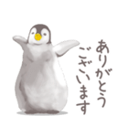 毎日使える★ペンギンさん（個別スタンプ：11）