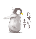 毎日使える★ペンギンさん（個別スタンプ：15）