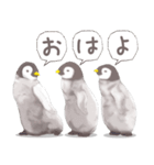 毎日使える★ペンギンさん（個別スタンプ：17）