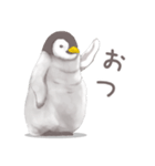 毎日使える★ペンギンさん（個別スタンプ：21）