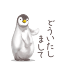 毎日使える★ペンギンさん（個別スタンプ：23）