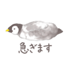 毎日使える★ペンギンさん（個別スタンプ：27）