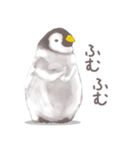 毎日使える★ペンギンさん（個別スタンプ：35）