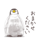 毎日使える★ペンギンさん（個別スタンプ：37）