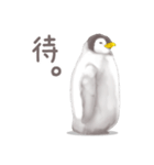 毎日使える★ペンギンさん（個別スタンプ：39）