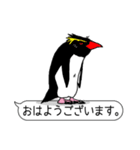 毎日ペンギンズ2（個別スタンプ：2）