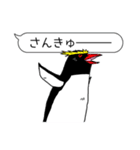 毎日ペンギンズ2（個別スタンプ：8）