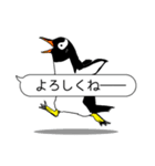 毎日ペンギンズ2（個別スタンプ：11）