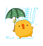 Baby Kuma Yokoと Lemmon Chicks（個別スタンプ：39）